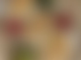 בורקס טורקי