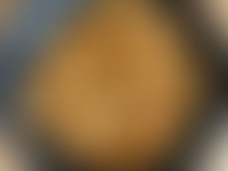 עוף בלימון ודבש