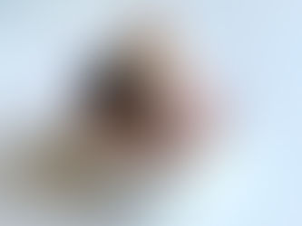 פרוזן יוגורט