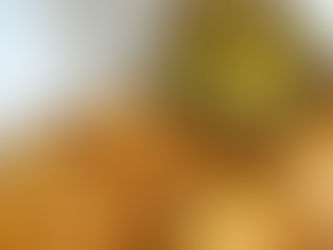 נאצ׳וס טורטייה עם גוואקמולי