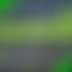 【2/4開催】「中国人観光客は戻っていない」という誤解。データと現場から読み解く、2026年インバウンド売上最大化の設計図〜サイバーエージェント × C Channel上海が、旅マエから旅アトまでの最新勝機を公開〜