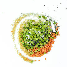 Dried legumes and seeds, top view. Red l