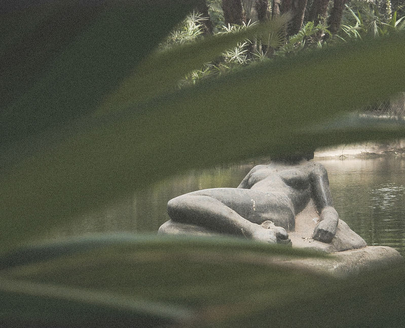 guenifi-ouassim-Ipw8a6gsO9A-unsplash_edited_edited_edited.jpg