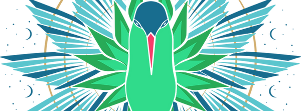 Beija flor home cima.png