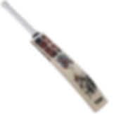SS Devils bat (Red) Kashmir Willow Cricket Bat –SH