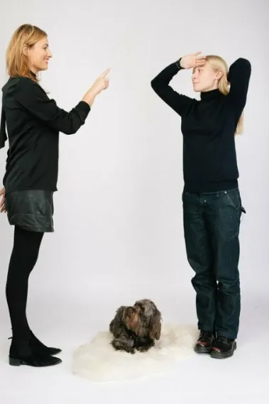 kinesiology bei Tieren .webp