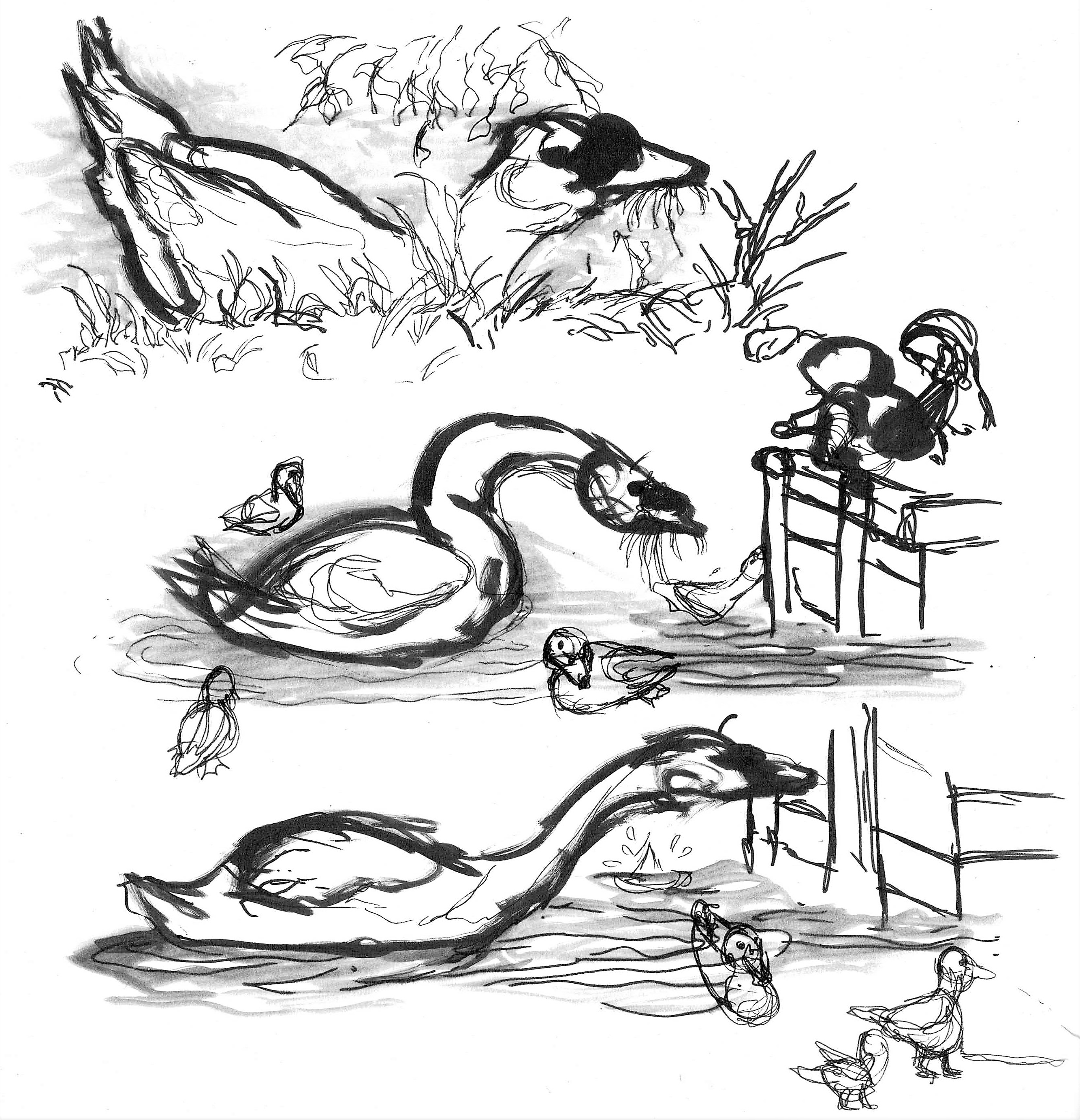 Hungry swan