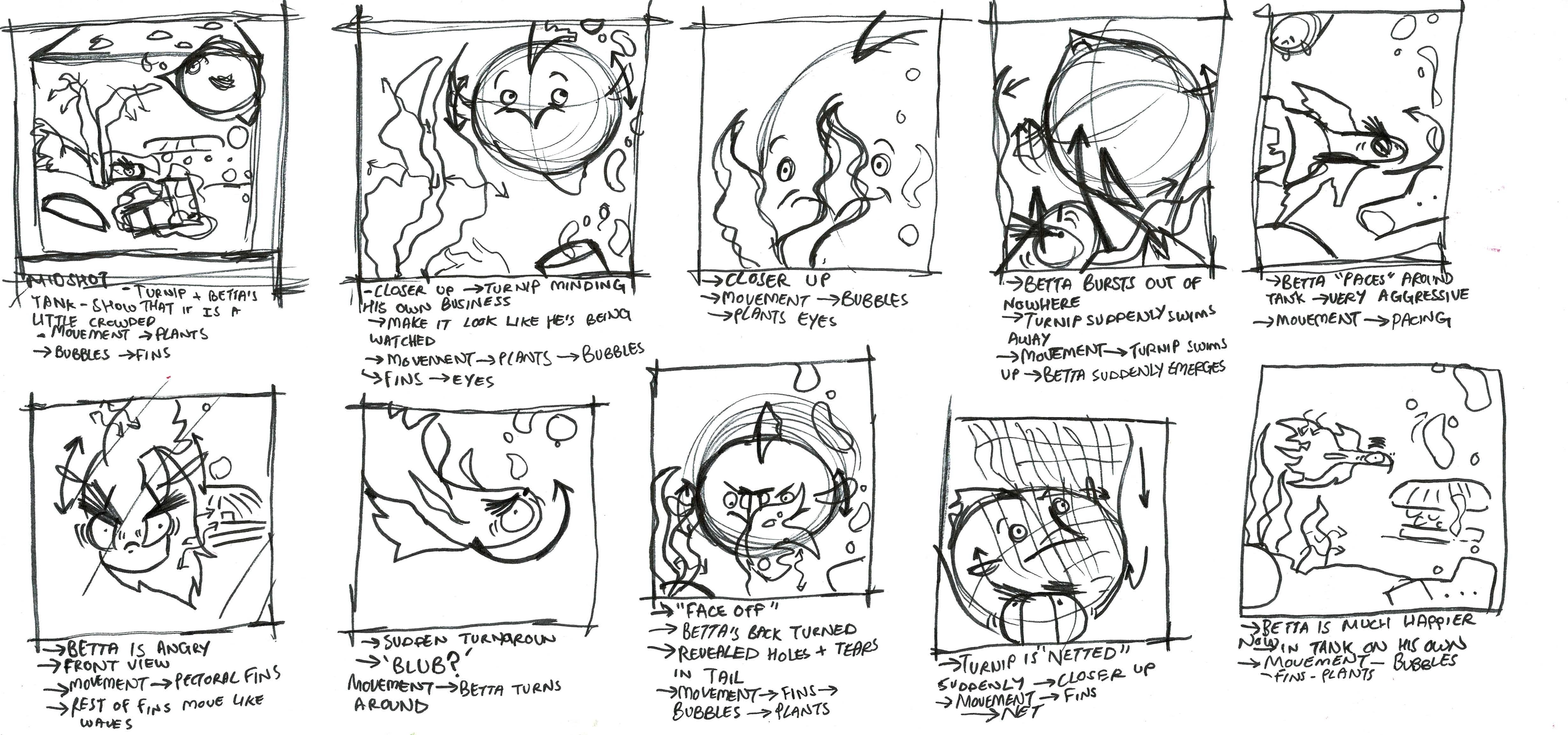 Turnip storyboard