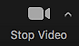 stopvideo.png