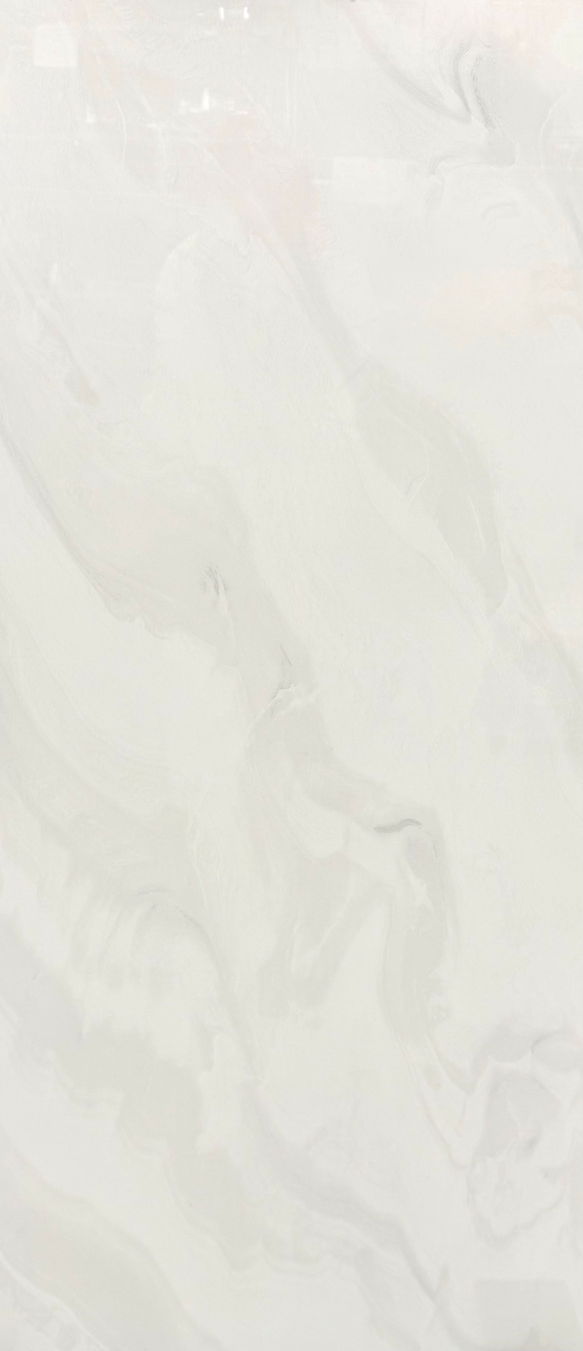 24"x48" BGP612M3023LGR Polished Porcelain Tile - $1.79/sq.ft