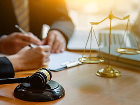 Dispute and Forensic Services