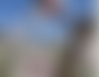 Un début mars printanier en Drôme et en Ardèche avec des pointes à 20 degrés.