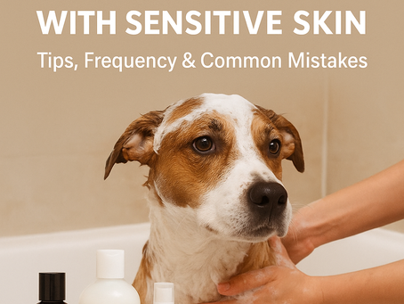 🐾 How to Bathe a Dog with Sensitive Skin: Tips, Frequency & Common Mistakes (2025 Guide)