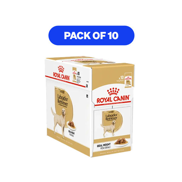 Thumbnail: Royal Canin Labrador Retriever Adult Dog Food, Wet Food Pack of 10 Sachet, 140Gm