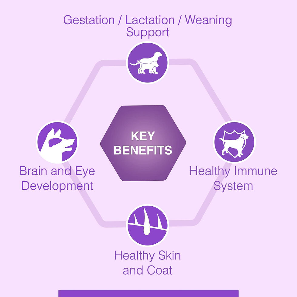 Thumbnail: Canine Creek Ultra Premium Starter Dry Dog Food ,4Kg Pack