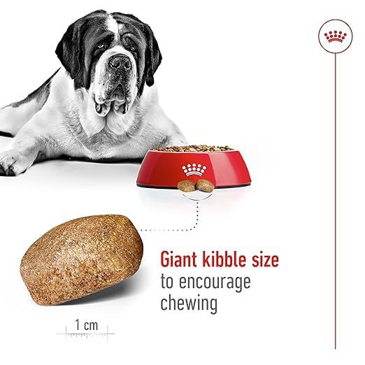 Thumbnail: Royal Canin Giant Adult Dog Food, 4 KG, Dry Food, Supports Healthy Joint