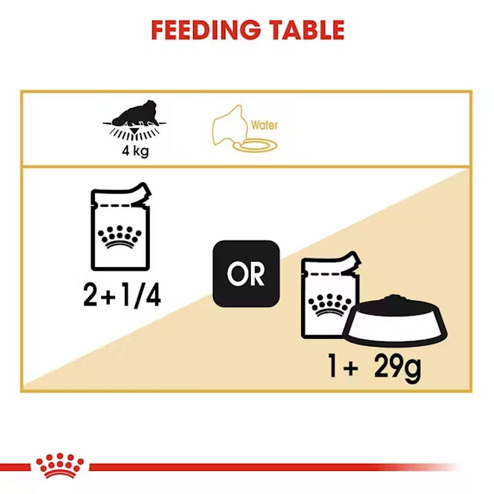 Thumbnail: Royal Canin Persian Cat Adult Wet Food, 85 Grams, Pack of 12 Sachet