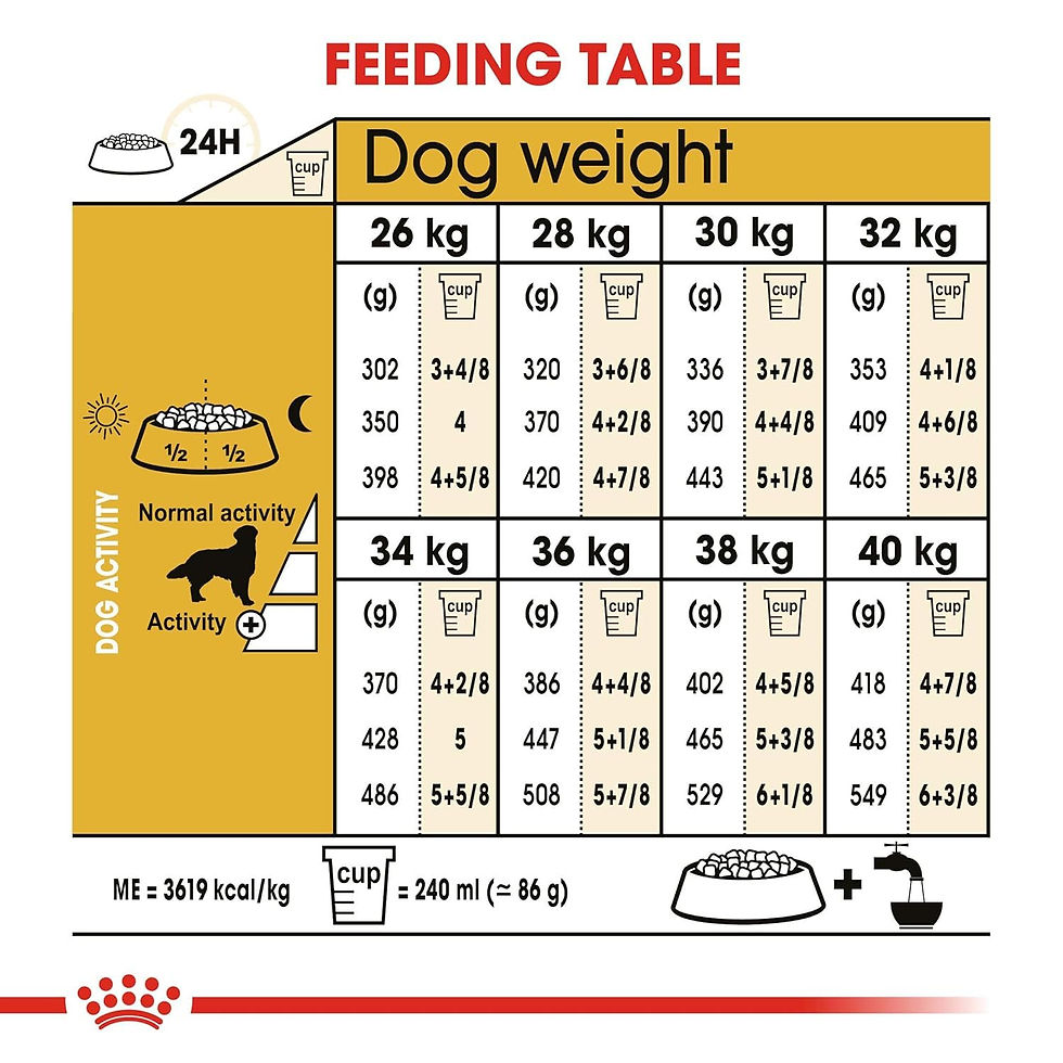 Thumbnail: Royal Canin Golden Retriver Adult Dog Food, 3 Kg, Dry Food, Healthy Skin & Coat 