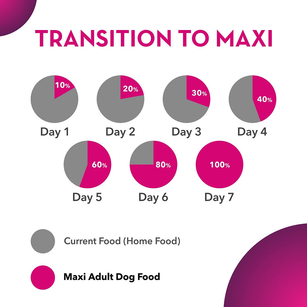 Thumbnail: Maxi Adult Dry Dog Food 20 kg Pack | Chicken and Liver Flavour | Promotes Growth