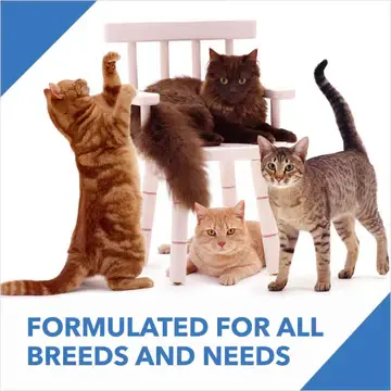 Thumbnail: Drools Adult 7kg Dry Cat Food | Ocean Fish Flavour | Taurine for Healthy Heart