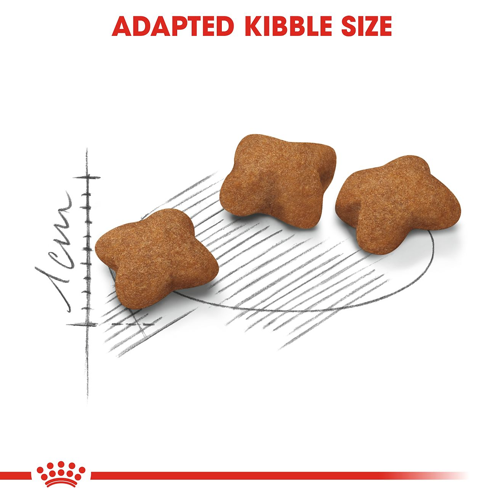 Thumbnail: Royal Canin Kitten Sterilised Dry Cat food - All Breed Kitten, 400 Gms