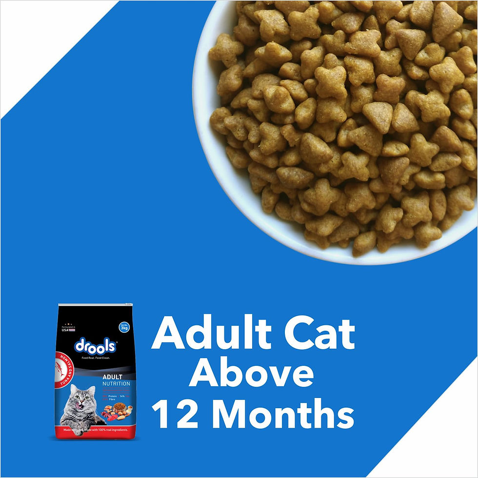 Thumbnail: Drools Adult Dry Cat Food 1.2kg Pack | Tuna & Salmon Flavor | Complete Nutrition