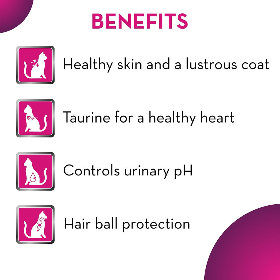 Thumbnail: Maxi Ocean Fish Dry Cat Food 1.2kg, Adult