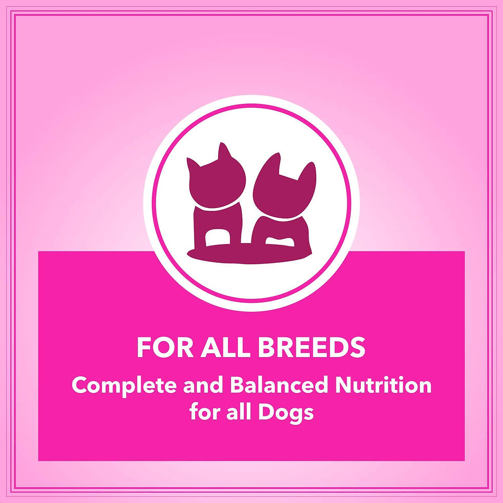 Thumbnail: Let's Bite Active Adult Dry Dog Food 10kg 