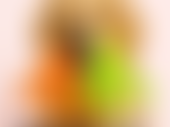 Best Dog Toys in India 2025 — Safe, Durable & Fun Choices for Every Breed