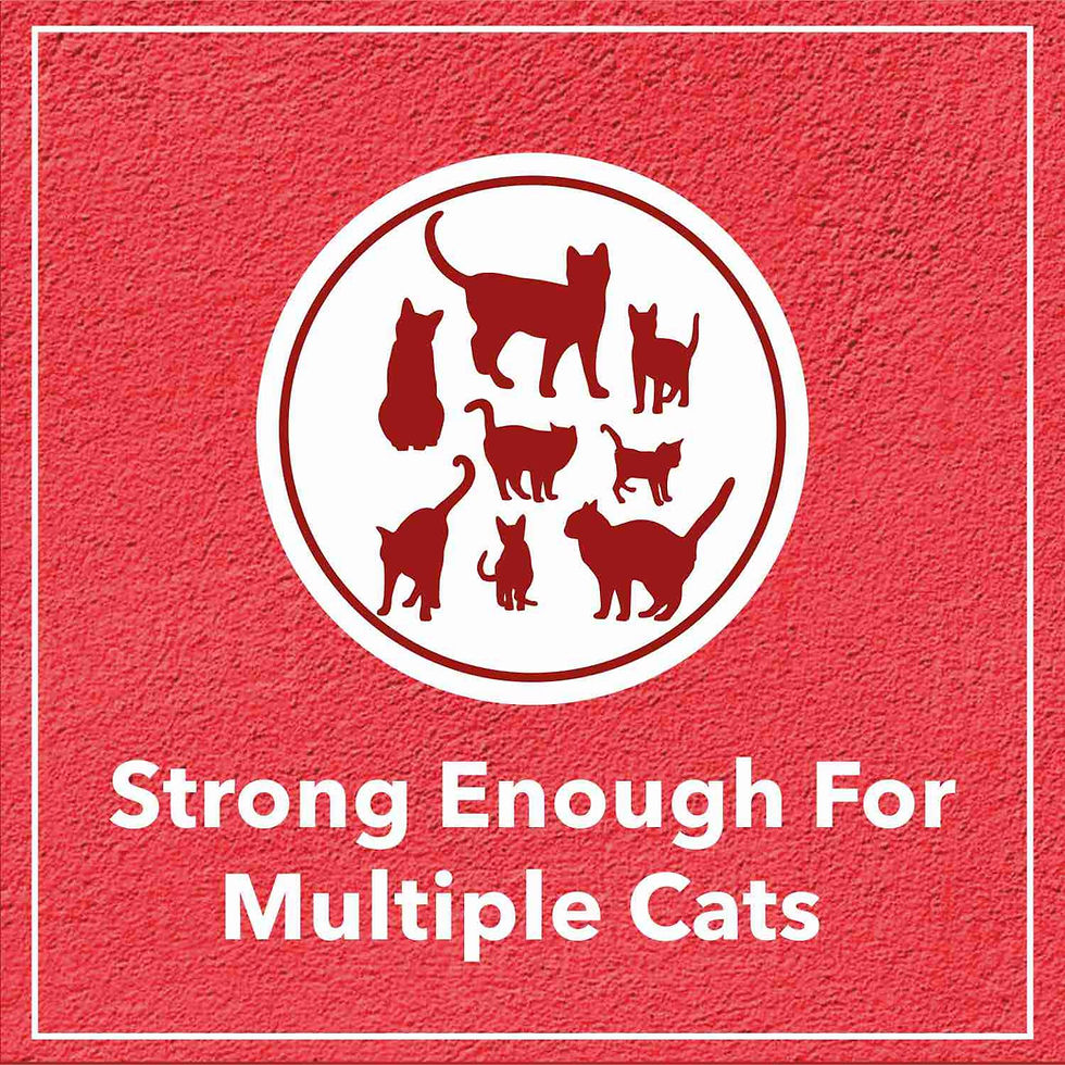 Thumbnail: Drools Cat Litter (for Multiple cat Breeds) 10 kg Pack | Lavender Flavour