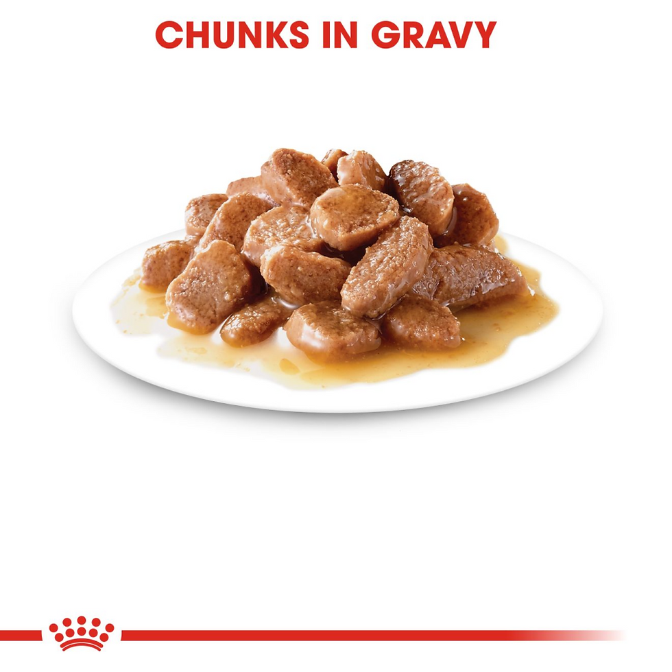 Thumbnail: Royal Canin Ageing 12+ Gravy, 12 U X 85 Gms