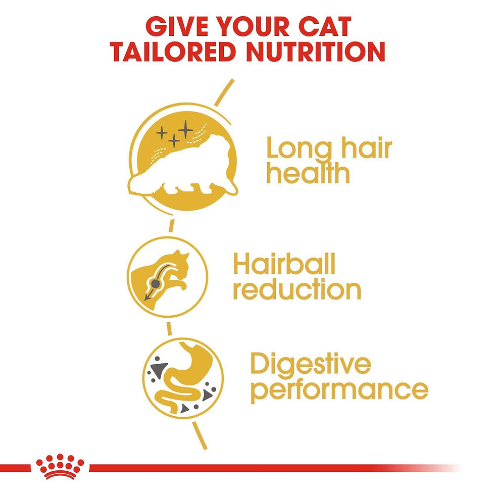 Thumbnail: Royal Canin Persian Adult Cat Food, 1 Kg, Dry Food, Supports Long Hair 