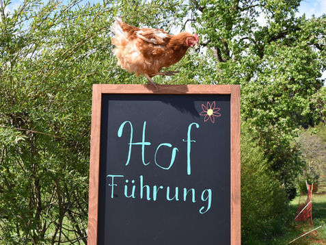 Die Wendy-Welt Tage: ein grosser Erfolg!