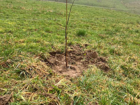 1000 für die Biodiversität - Wir haben mitgemacht! 