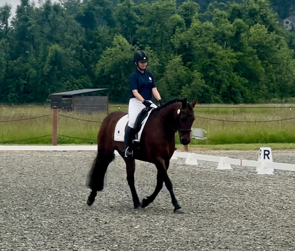 May 2025: Silver Tail Team Show