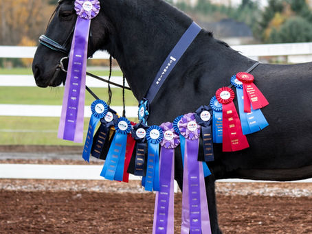 Indigo Sky & Jen McDonald