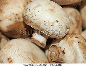 diet, tasty, texture, cook, background, food, natural, white, calories, mushrooms, fresh, protein, viggarian, champignons,