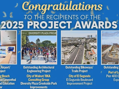 2025 ASCE MLAB Project Awards