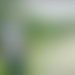 Nous les artisans, une autre espèce