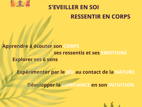 Le premier cycle va commencer !