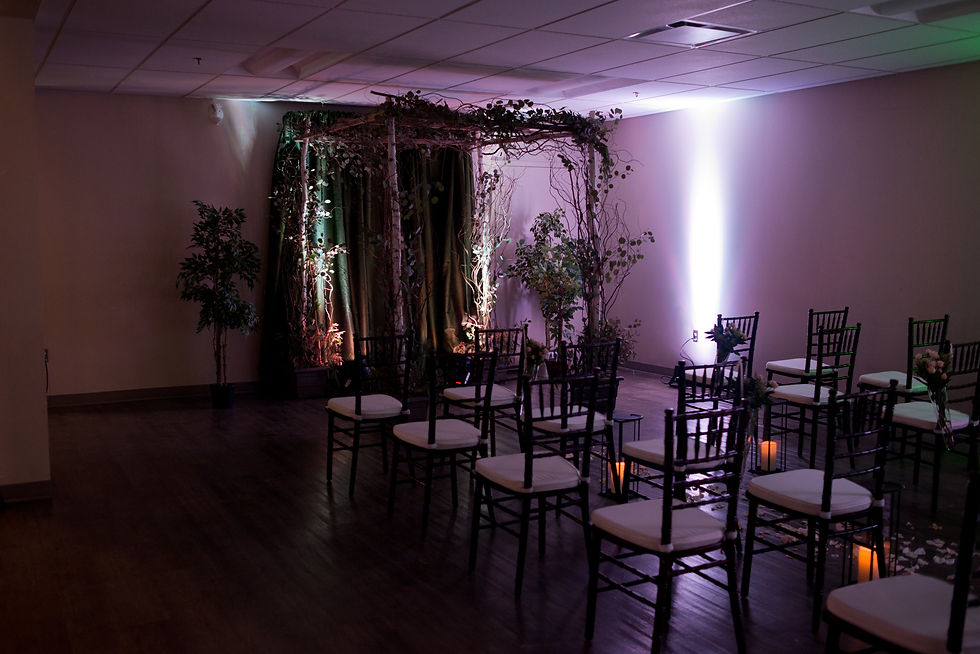 Ceremony backdrop