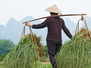 BASF und Yuntianhua starten Projekt zur Reduzierung von Emissionen aus der Düngemittel-Nutzung