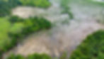 Aerial view of the mangrove saplings at the Niger Delta Mangroves Project