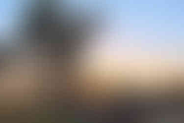 Madhya Pradesh's name comes from the sanskrit words madhya and pradeś, meaning central province. 