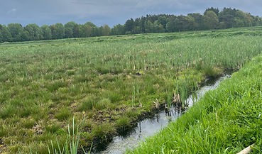 Image (9).jpg