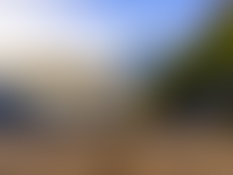 „Amerika bietet Unternehmen zahlreiche Möglichkeiten, beim Klimaschutz voranzugehen.“