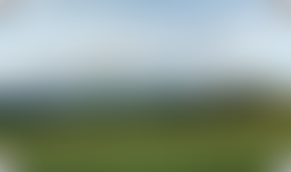 The role of Carbon Removals