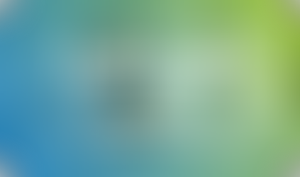 Neue First Climate Online-Seminarreihe: Exklusiver Austausch rund um Nachhaltigkeit und Klimaschutz