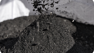 CARBONITY Project Marks Milestone for Carbon Removals