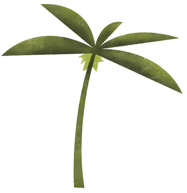 Palm Tree_edited_edited_edited_edited_edited.png